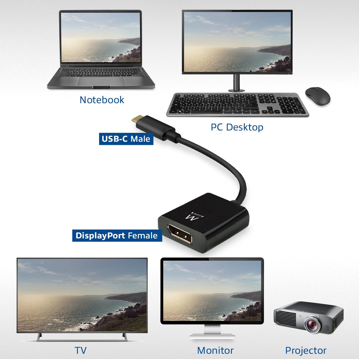 EAN 8054392619618 - Ewent EW9825 adaptador de cable de vídeo 0,15 m USB Tipo C DisplayPort Negro imagen 6