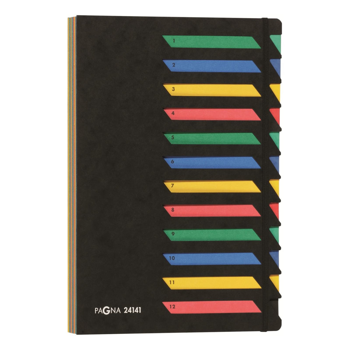 Pagna Carpeta Organizadora 12 Compartimentos - Negro