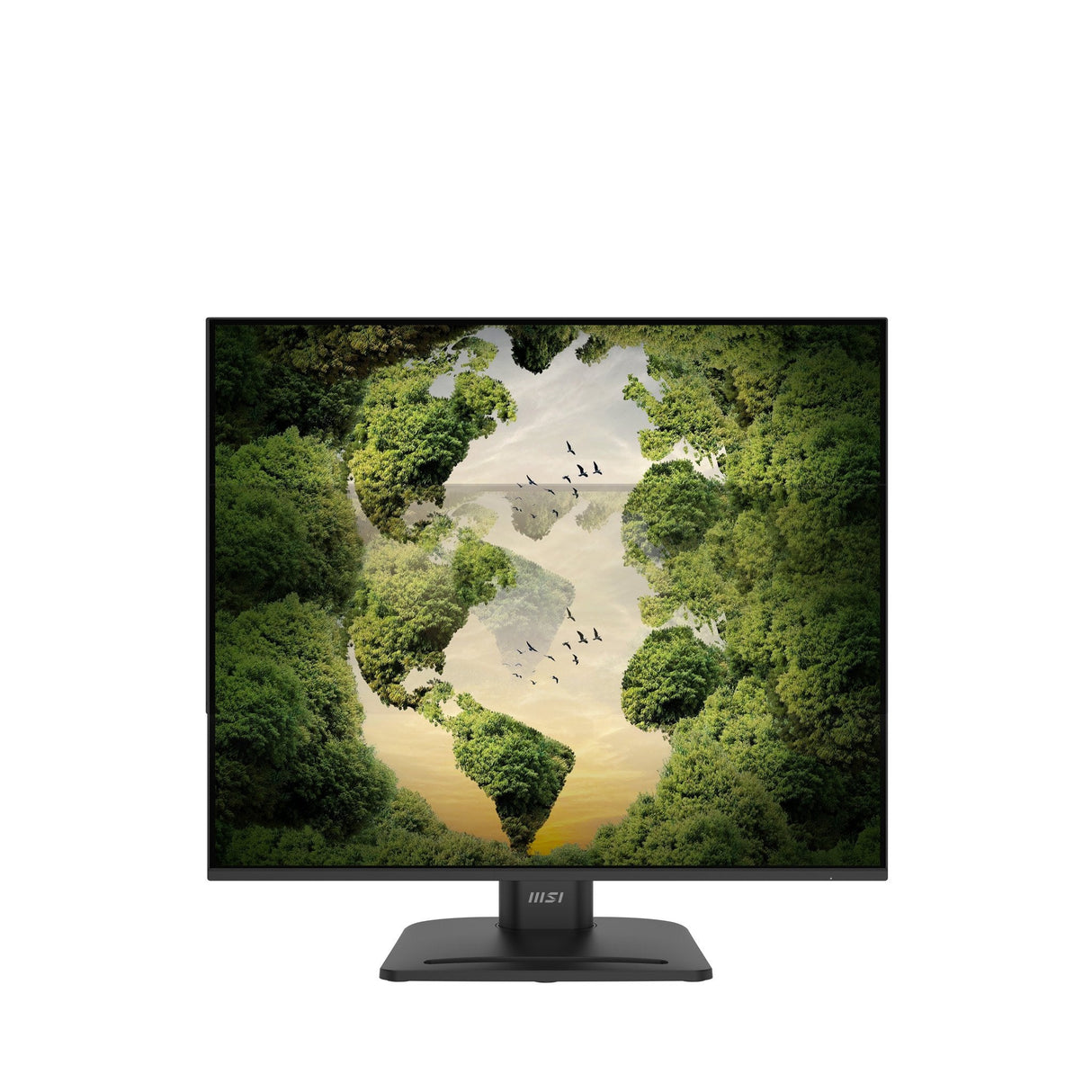 Monitor Pro Mp245phgn E14 23.8 Cala/Led/Flat/144hz/Czarny