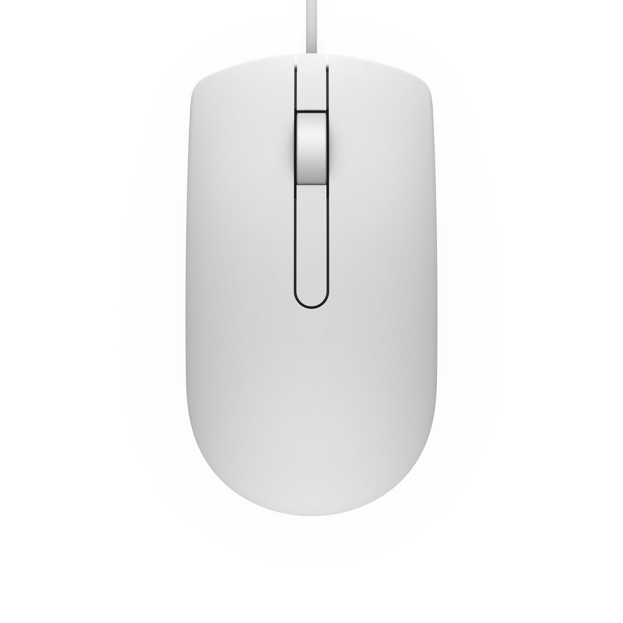 EAN 5715328088313 - DELL MS116 ratón Ambidextro USB tipo A Óptico 1000 DPI imagen 3