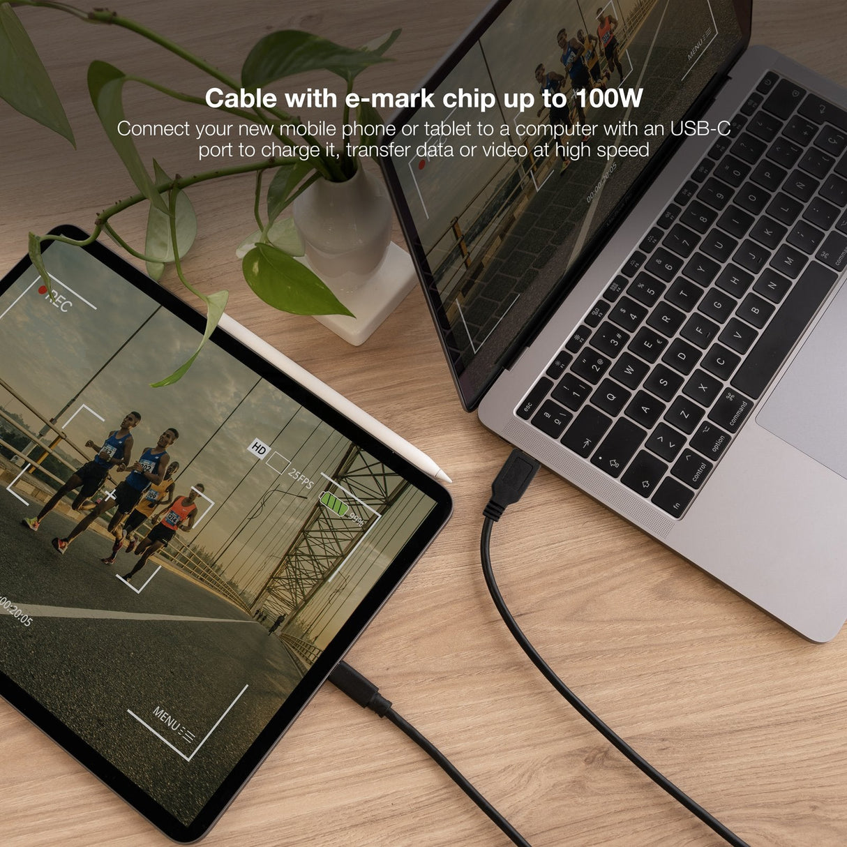 Cable Usb 2.0 3a, Tipo Usb-C/M-A/M, Negro, 1.5 M