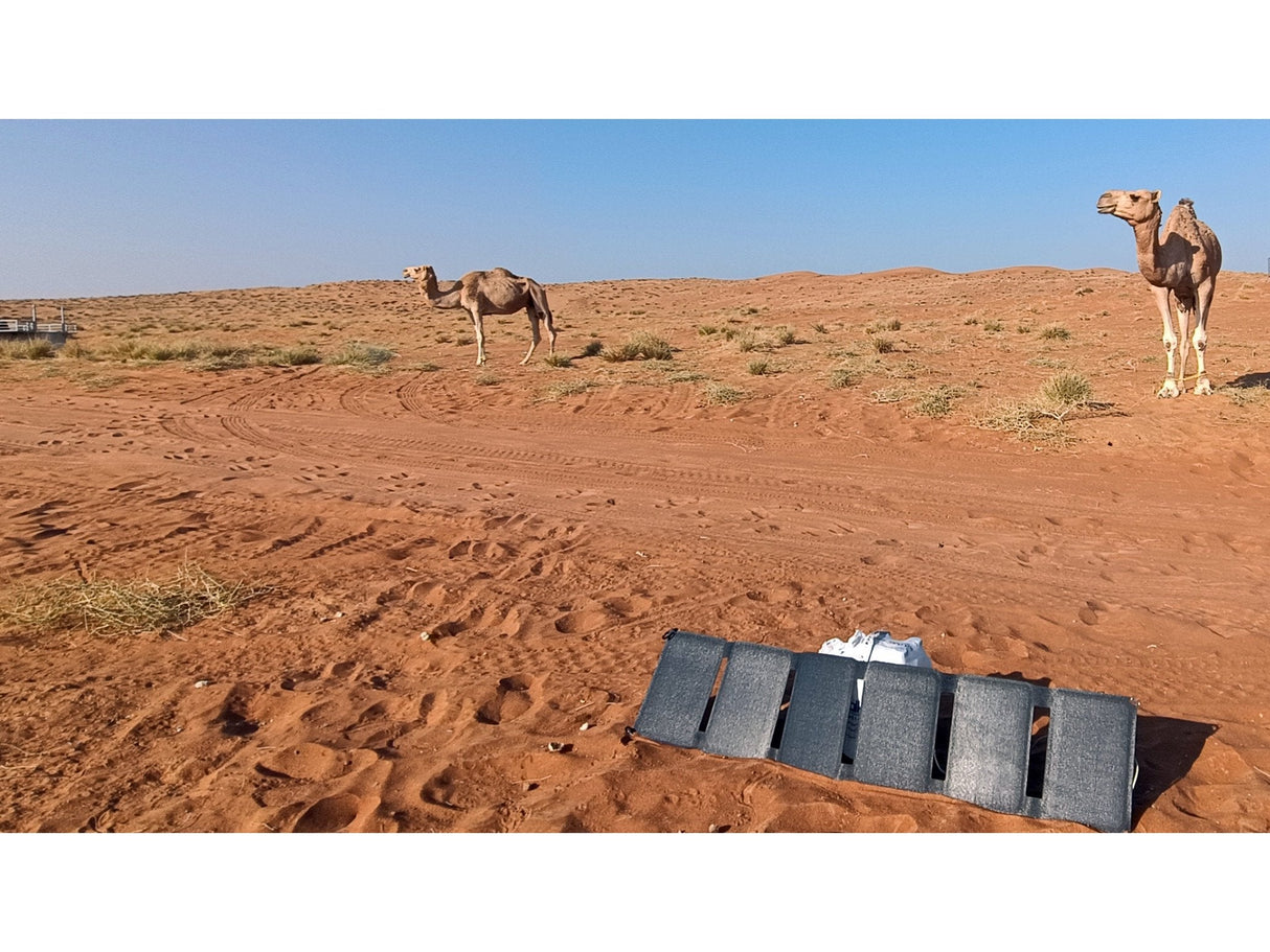 Sandberg 420-67 Cargador De Dispositivo Móvil Negro Exterior