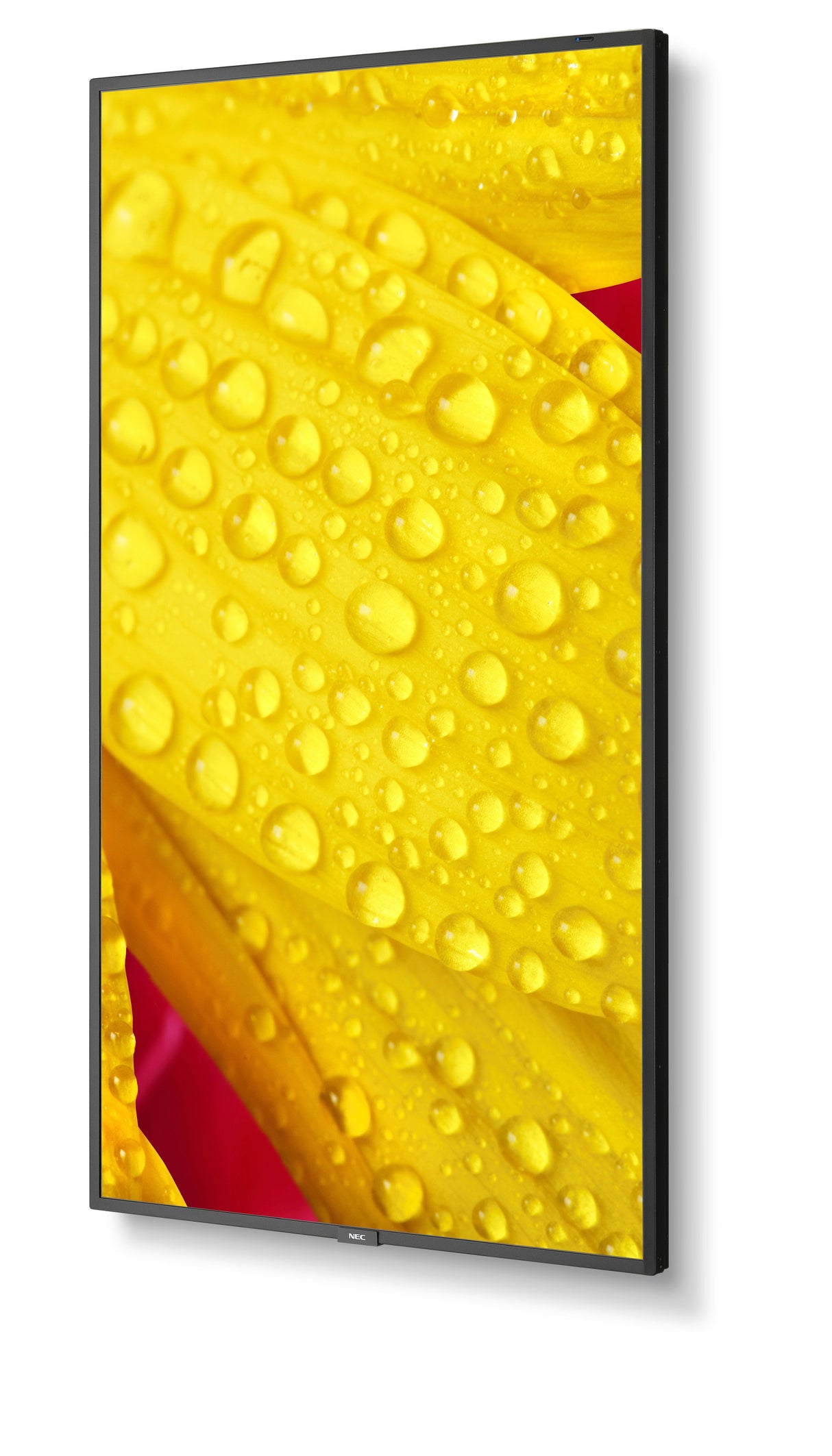 Multisync M551-2 Lfd