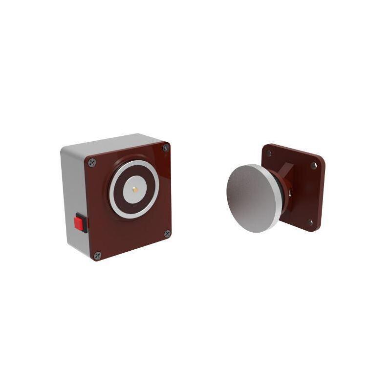 Electromagnetic Keeper 50kg With Release For Dhb