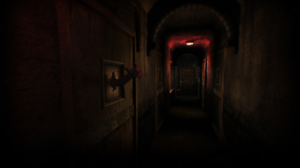 Juego Asylum Playstation 5