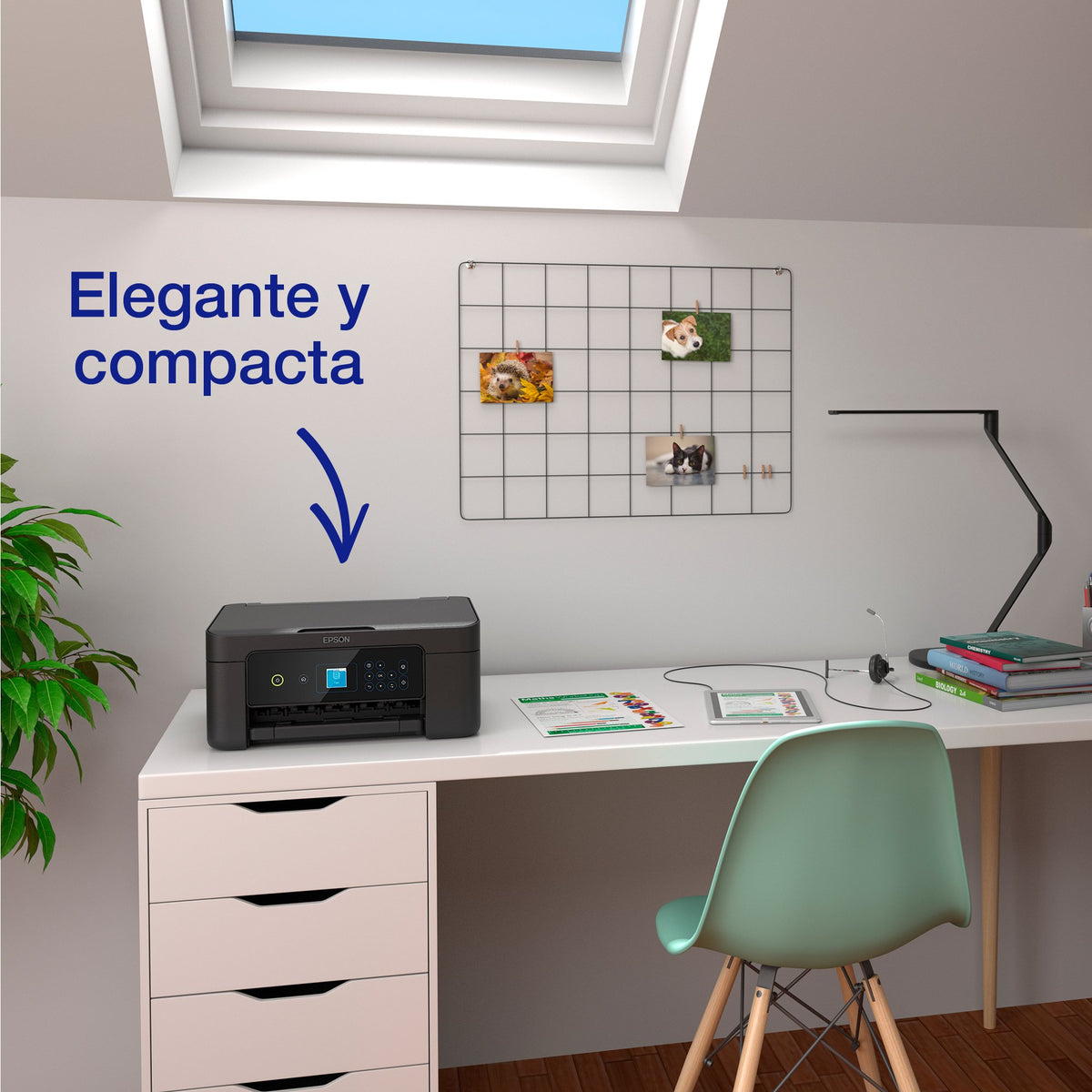 EAN 8715946702759 - Epson Expression Home XP-3205 imagen 7