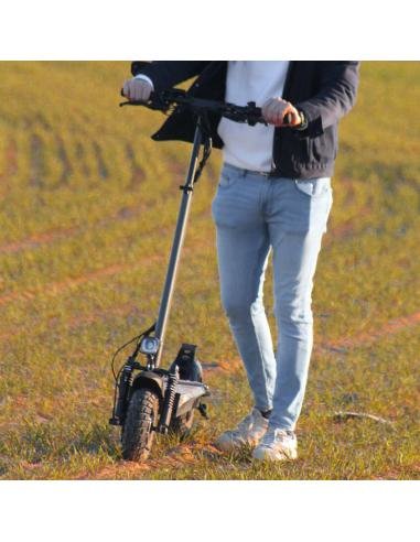 Patinete Eléctrico Smartgyro Rockway Certificado Motor 800w Ruedas 10' 25km H Autonomía 50km