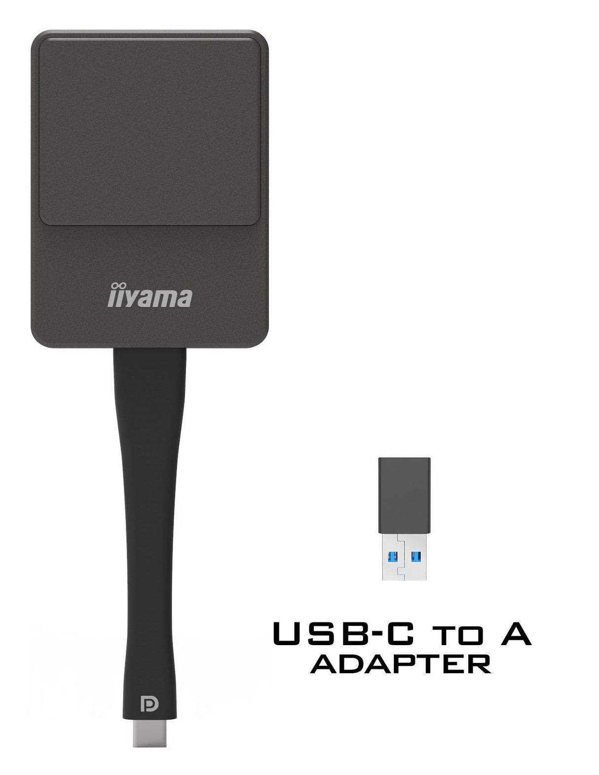 Iiyama Wp D002c Adaptador Smart Tv Usb 4k Ultra Hd Negro, Plata