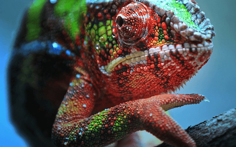 Proyector Epson Eh-Tw7100,4k, Uhd, 16: 9, 3000ansi, 100.000: 1, Usb 2.0, Hdmi, Bluetooth