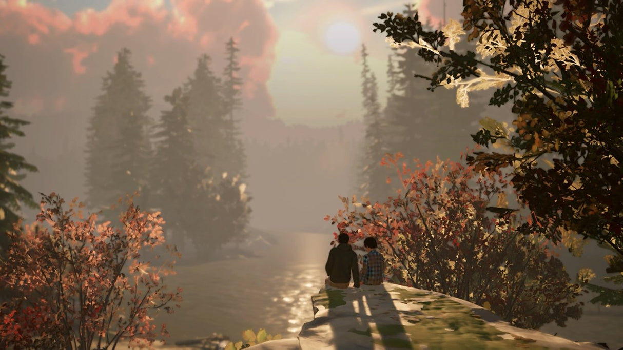 EAN 5021290101654 - Square Enix Life is Strange 2 (CIAB) NSW Colección Nintendo Switch imagen 7