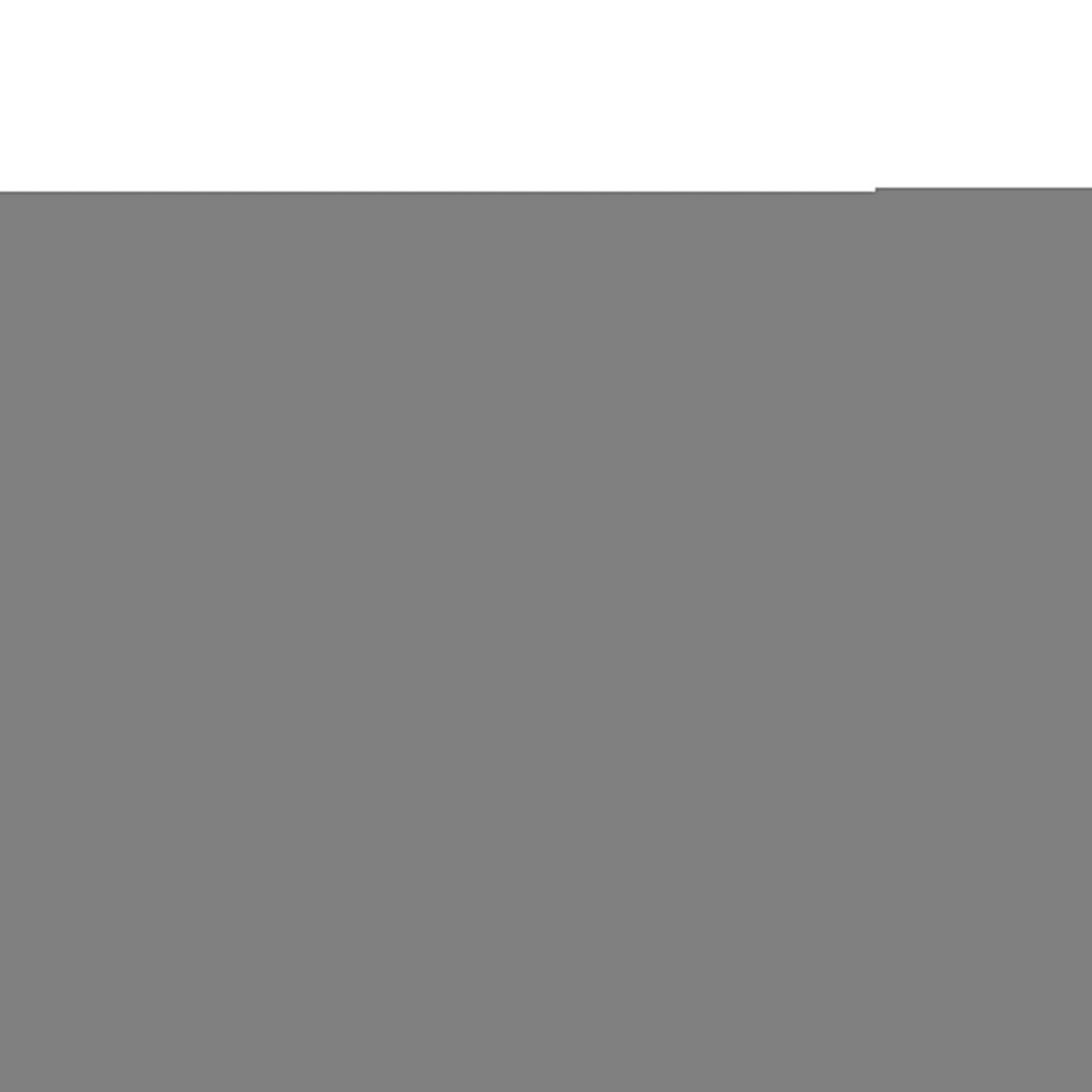 EAN 4711378427639 - Patriot Memory P320 2 TB M.2 PCI Express 3.0 NVMe imagen 2