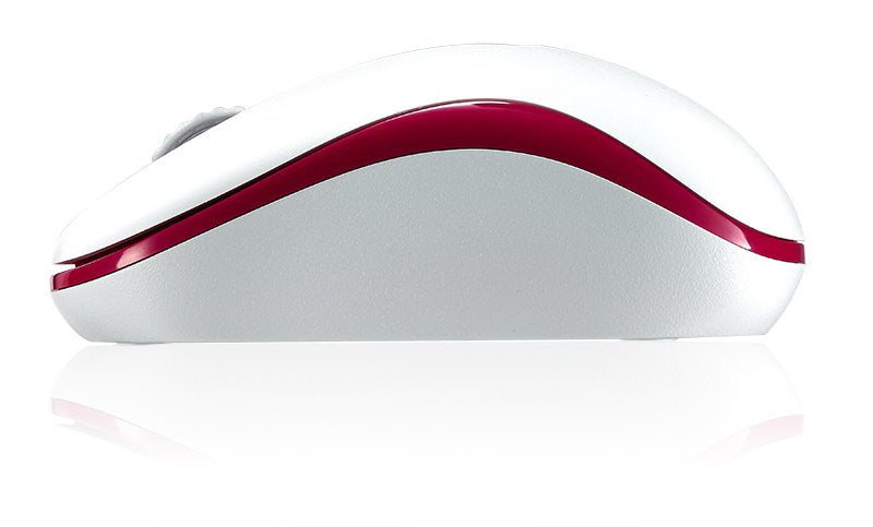 Rapoo M10 Plus Ratón Ambidextro Rf Inalámbrico Óptico 1000 Dpi