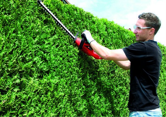 EAN 4006825608236 - Einhell GC-EH 4550 Cuchilla doble 450 W 2,5 kg imagen 3