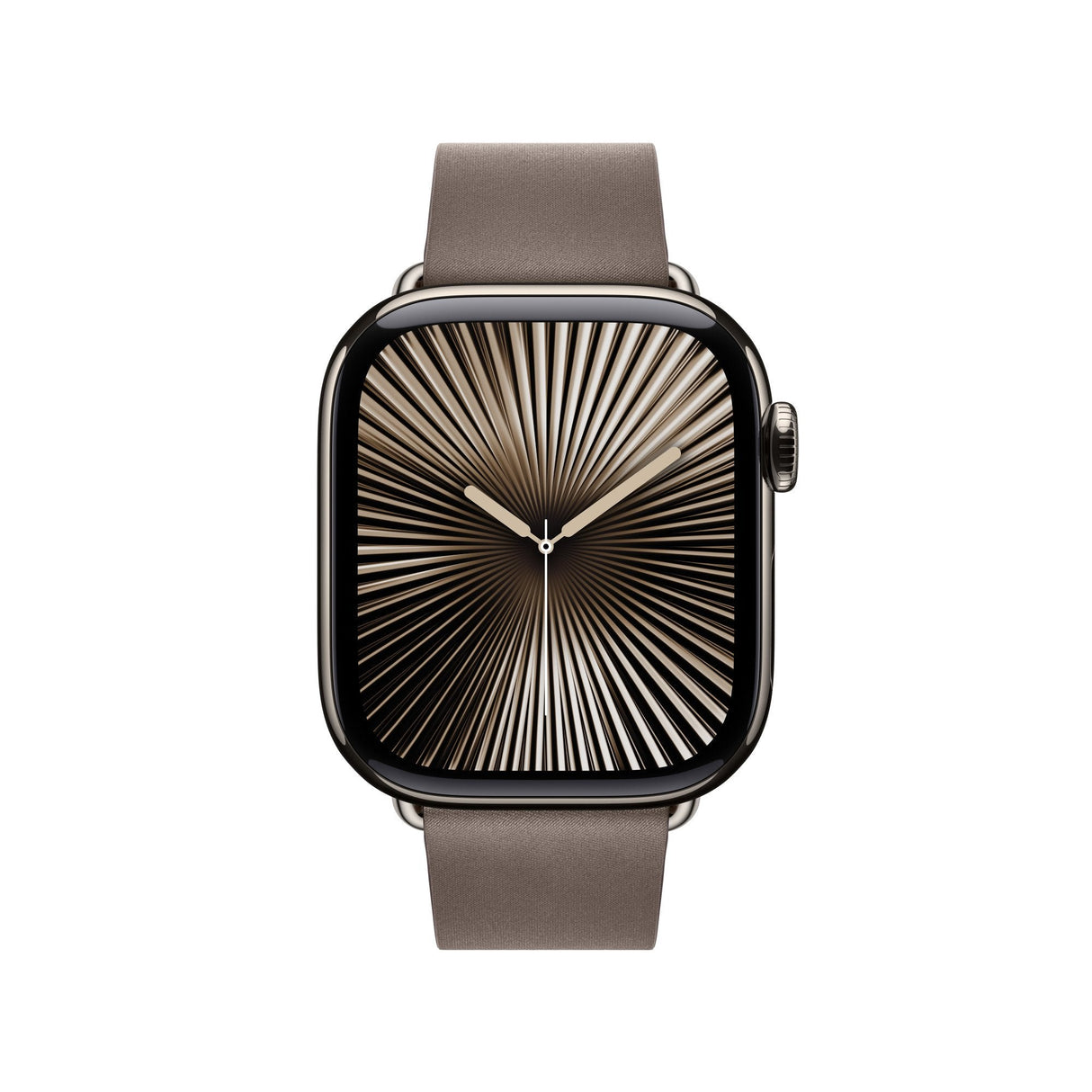 Apple 42mm Dark Taupe Modern Buckle - Small