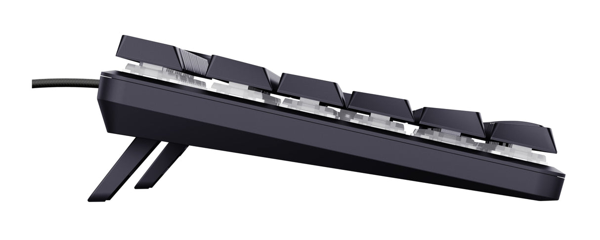 Torix Mechanical Keyboard