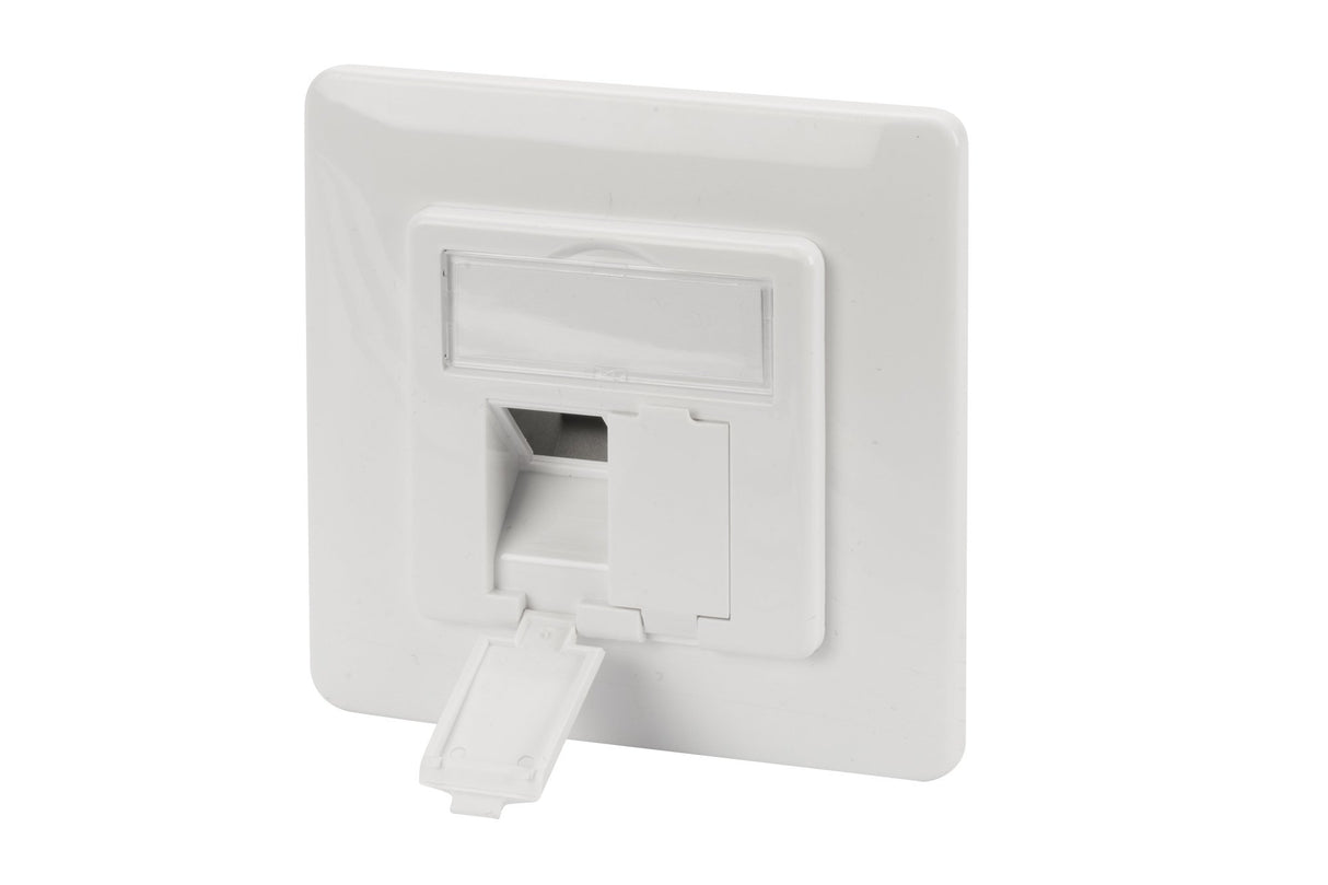 EAN 4016032362418 - Digitus DN-93831 placa de pared y cubierta de interruptor Blanco imagen 3