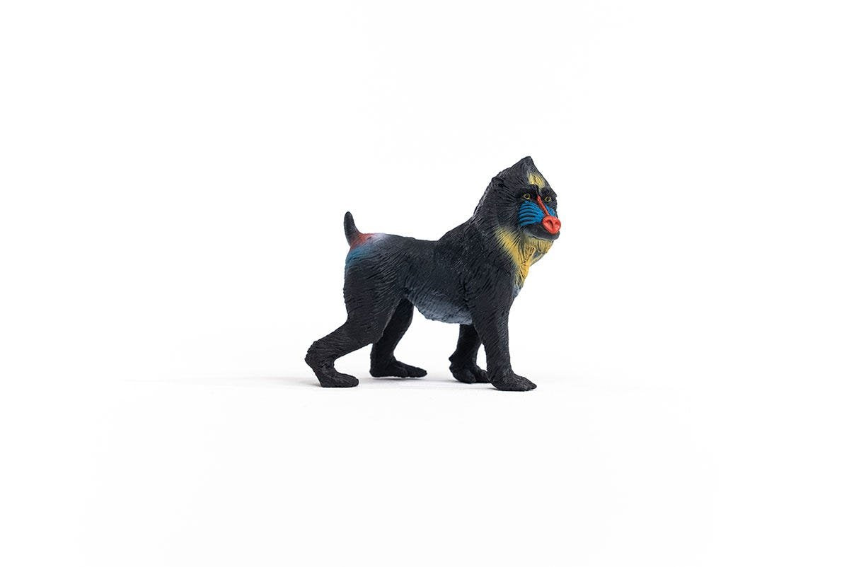 EAN 4059433455457 - schleich Vida Salvaje 14856 figura de juguete para niños imagen 4
