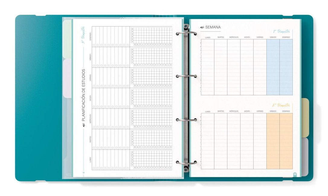 Carchivo Carpeblock 360 My Rules Con Recambio 100h A4 5x5 90gr 4 Separadores Pp Foam Deep Green