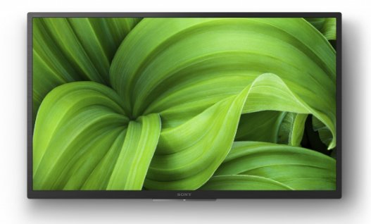 Pantalla Señalización Sony Fwd-32w8001 Digital 81,3 Cm (32") Led Wifi 380 Cd / M² Wxga Negro Procesador Incorporado Android 10