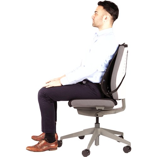 Respaldo Fellowes Mesh Professional Series Suites Cojin Lumbar - Material De Malla - Sistema Triple Tensor - Color Grafito