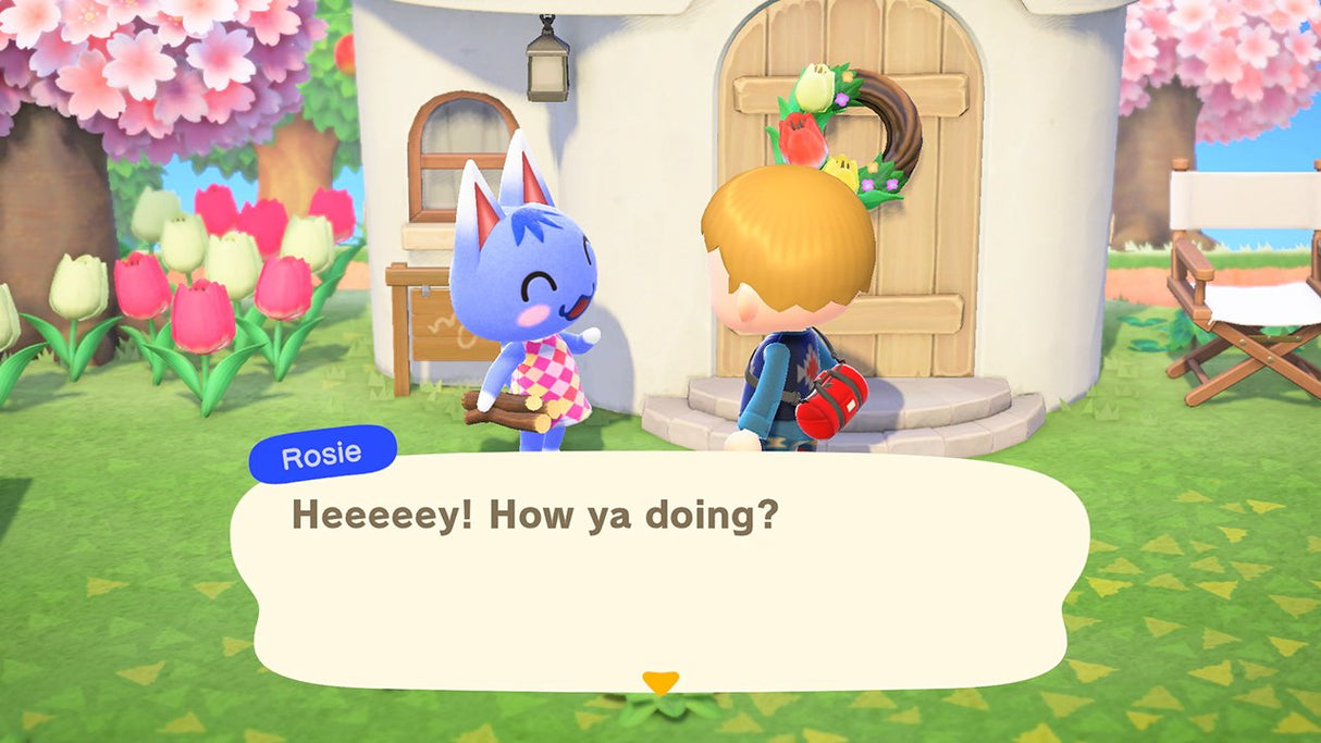 Switch Animal Crossing: New Horizons