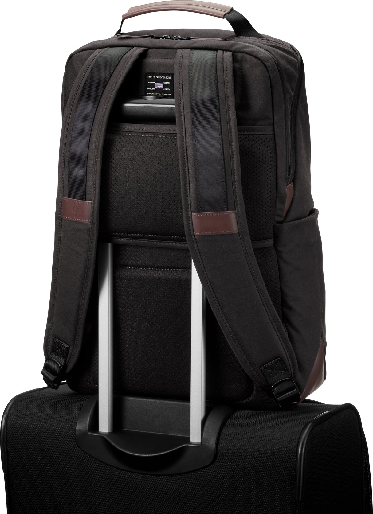 EAN 5704174828952 - HP 8GF06AA 39,6 cm (15.6") Mochila Marrón imagen 3