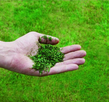 Cortacésped Einhell Gc-Pm 51/3 S Hw-E De Empuje A Gasolina Gasolina Negro, Rojo Rojo/Negro, Cortacésped De Empuje A Gasolina, 51 Cm, 1 L, 70 L, Tracción En Ruedas Traseras, 4 Rueda(S)