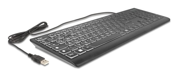 EAN 4043619121700 - DeLOCK 12170 teclado Universal USB QWERTZ Alemán Negro imagen 2
