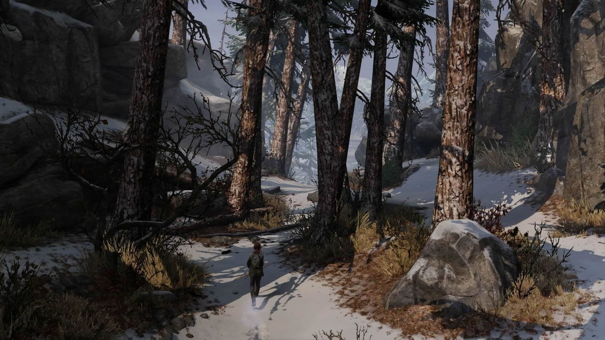 Sony The Last Of Us Remastered, Ps4 Remasterizada Inglés, Italiano Playstation 4