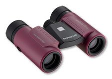 Olympus 8x21 Rc Ii Wp Binocular Techo Negro, Magenta