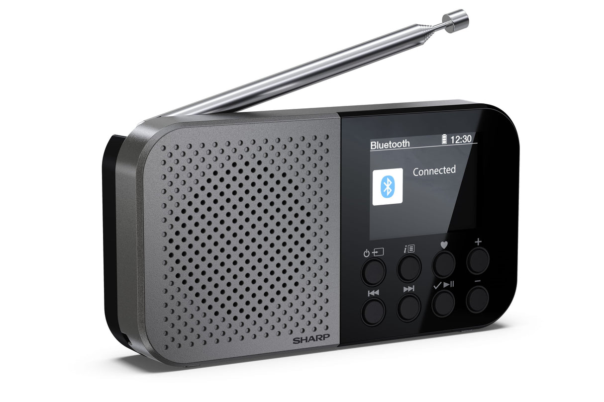 EAN 4974019204451 - Sharp DR-P520 Personal Digital Gris imagen 3