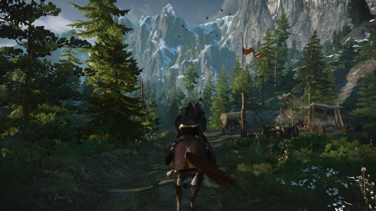 EAN 5902367641856 - BANDAI NAMCO Entertainment The Witcher 3: Wild Hunt Estándar Español Nintendo Switch imagen 2