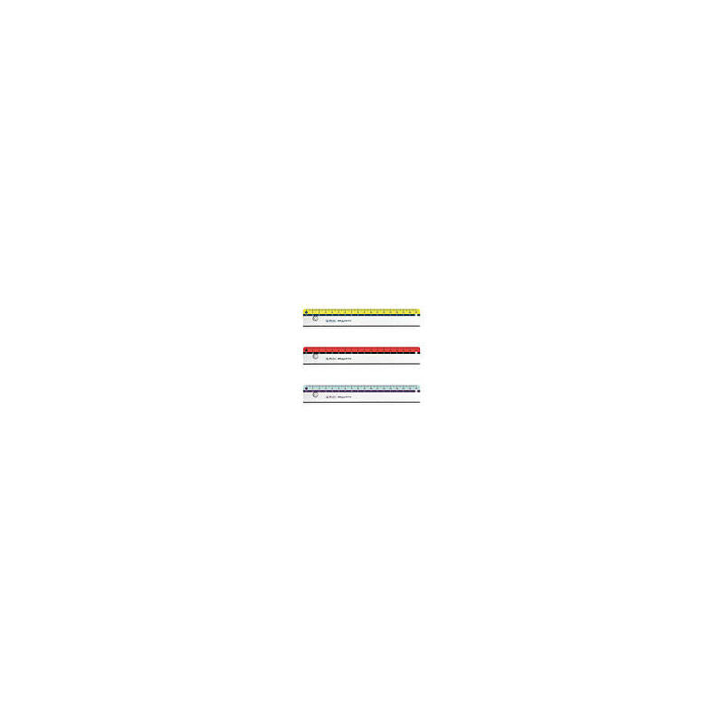 Herlitz Lineal My.Pen 17cm Farb.Sort. 1er Blimer