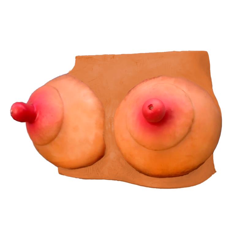 Hucha Forma De Pechos
