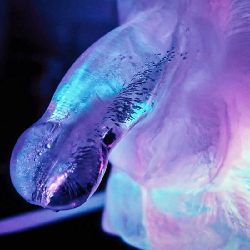 Pene Congelado Ice Luge - Enorme