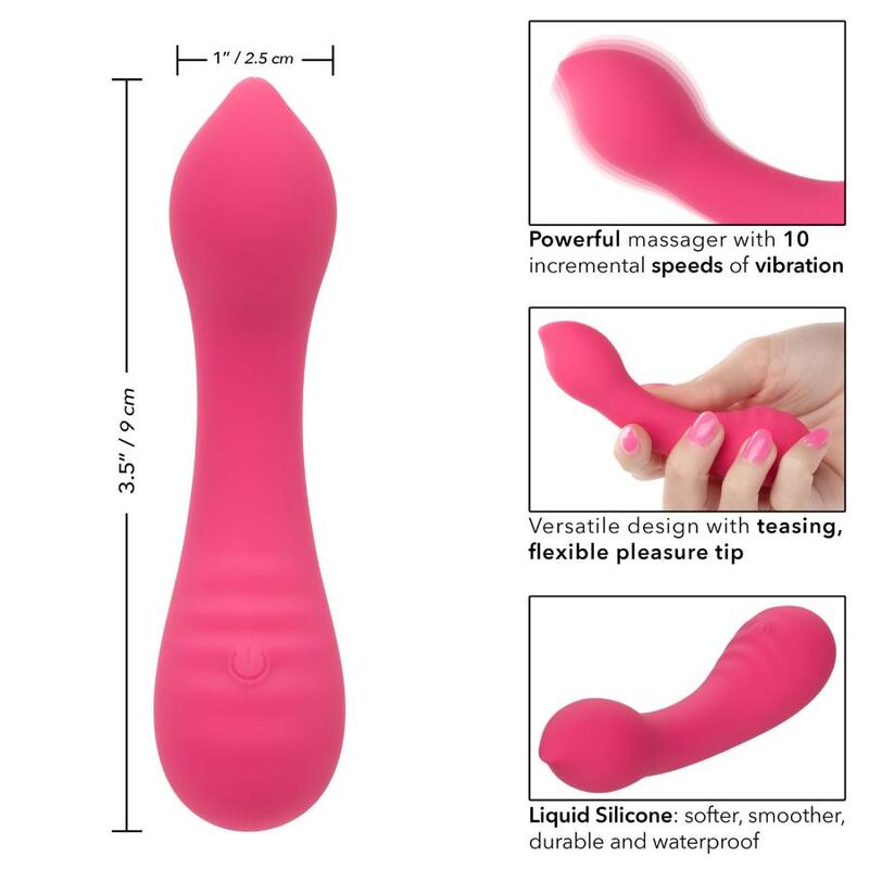 Calexotics - Pixies Teaser Rosa
