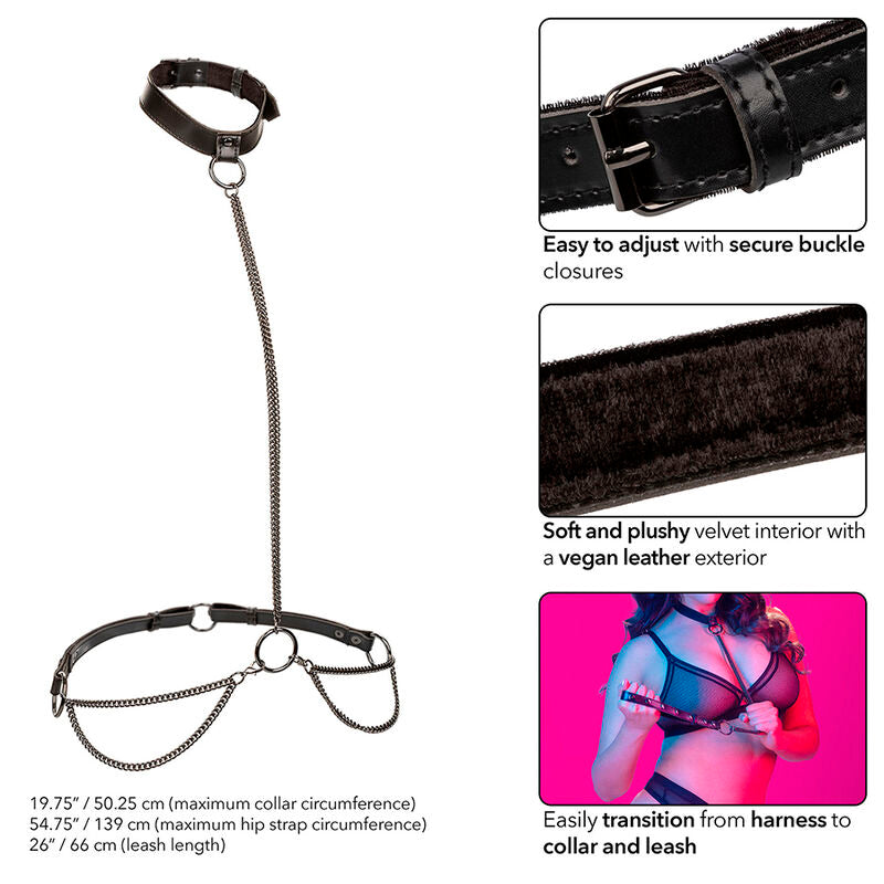 Calexotics - Euphoria Collar Halter Y Correa Con Cadena Talla Plus
