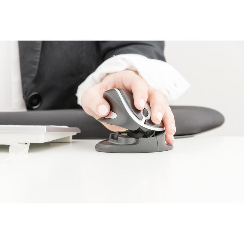 Kenson Oystermouse Wireless Ratón Rf Inalámbrico 1000 Dpi Ambidextro