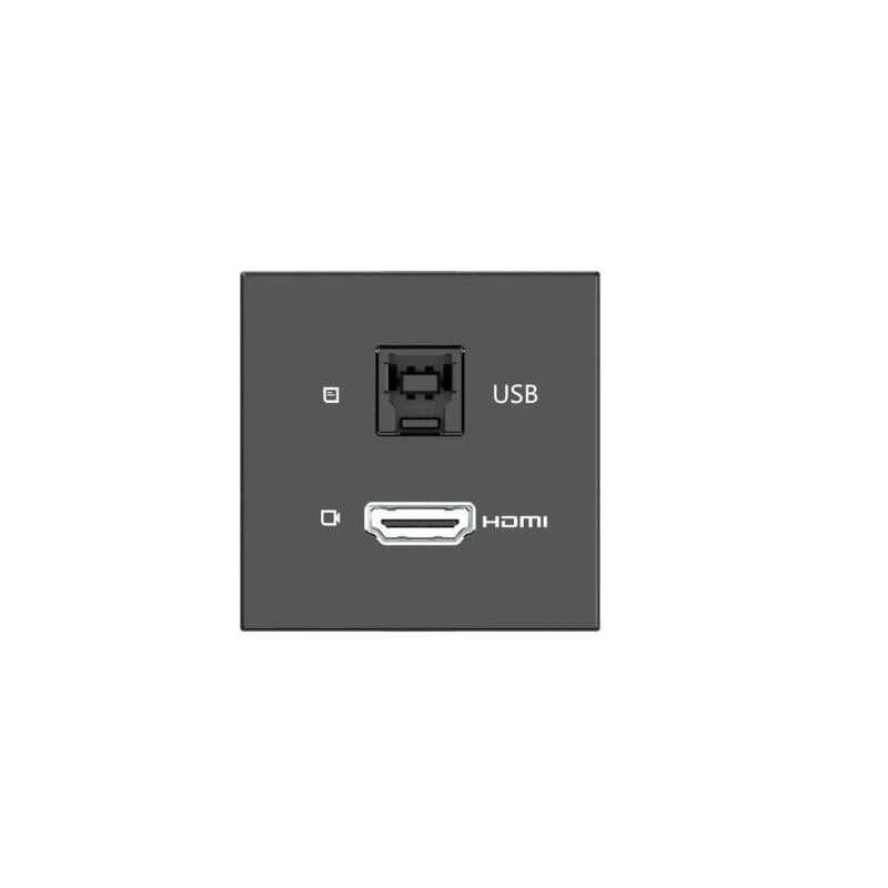 Kramer Room Connectivity Passive Black Module With 1 Hdmi Port + 1 Usbb Port Input.- Md-H+B/Af(B) (80-000358)