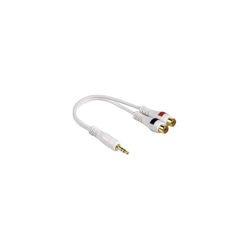 L-22x,Ultrafast,Ultrathin 1d/2d(Imager),100fps,Manual/Au