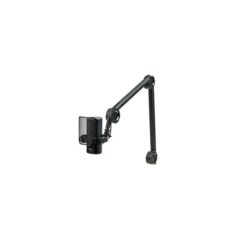 Microfono Aiwa Pdm-10 Usb-C 2m Mute Filtro Soporte Brazo Luz Color Negro