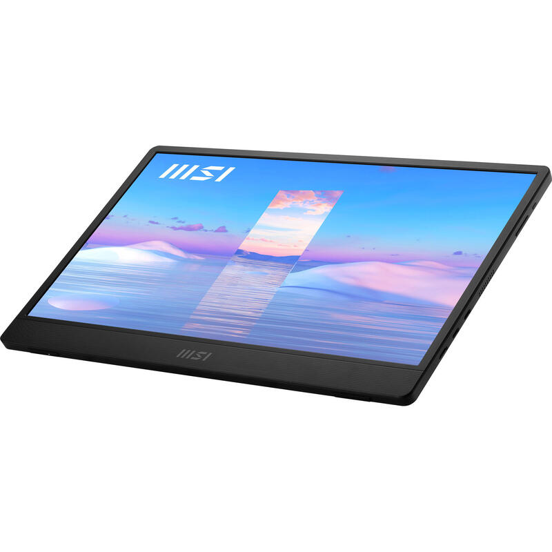 Monitor 15.6 Msi Pro Mp161 Iron Gray 4ms 60hz Fhd Ips Dp 2xusb Hdmi Vesa