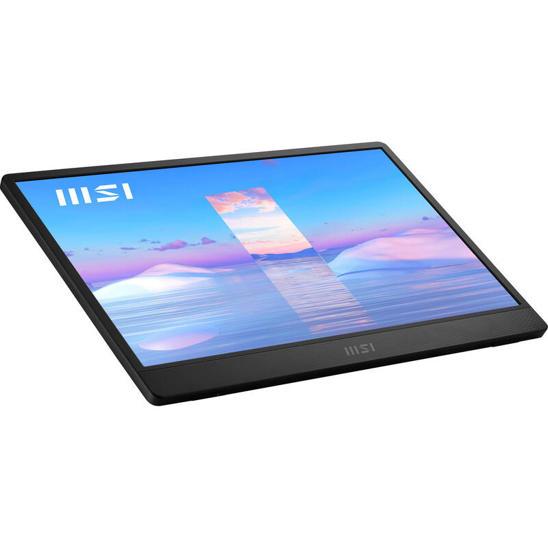 Monitor 15.6 Msi Pro Mp161 Iron Gray 4ms 60hz Fhd Ips Dp 2xusb Hdmi Vesa