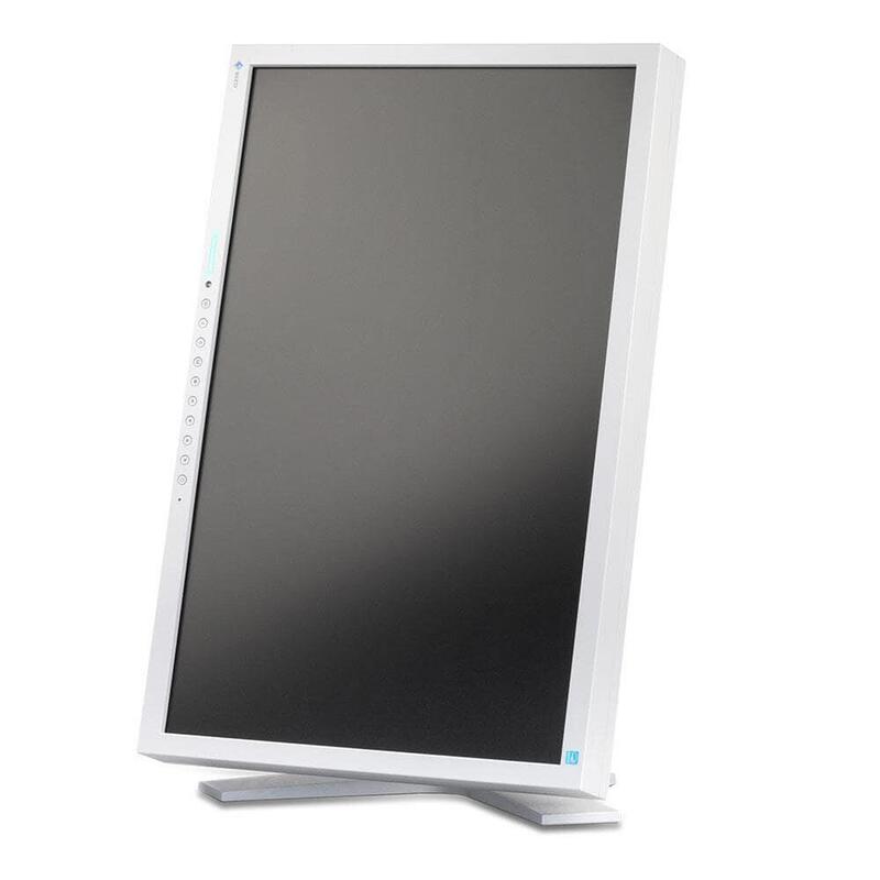 Monitor Reacondicionado Eizo S2202w 22" Dvi-D Y Vga