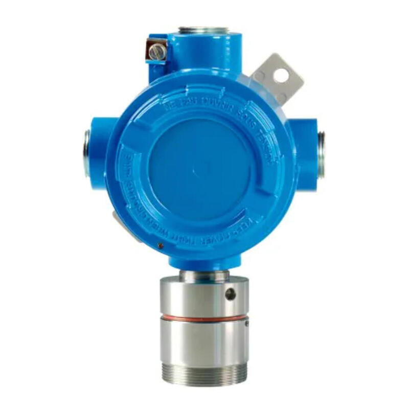 Notifier Vgs.Ad-Coe Detector De Gas Serie Vgs.Ad. Monóxido De Carbono, 4-20ma, 0-500ppm. Sonda Tipo 3. Ip65