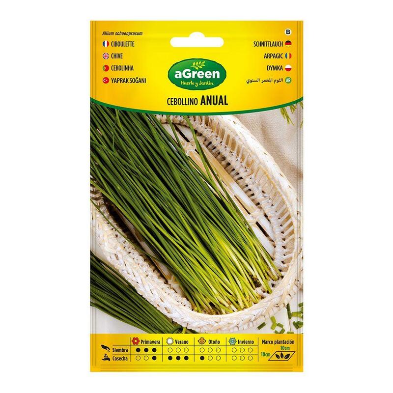 Pack De 10 Unidades - Sobre Con Semillas De Cebollino Anual 000239bolsh Agreen