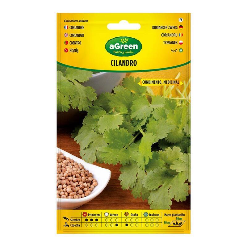Pack De 10 Unidades - Sobre Con Semillas De Cilandro Coriandrum Sativum 301015bolsh Agreen