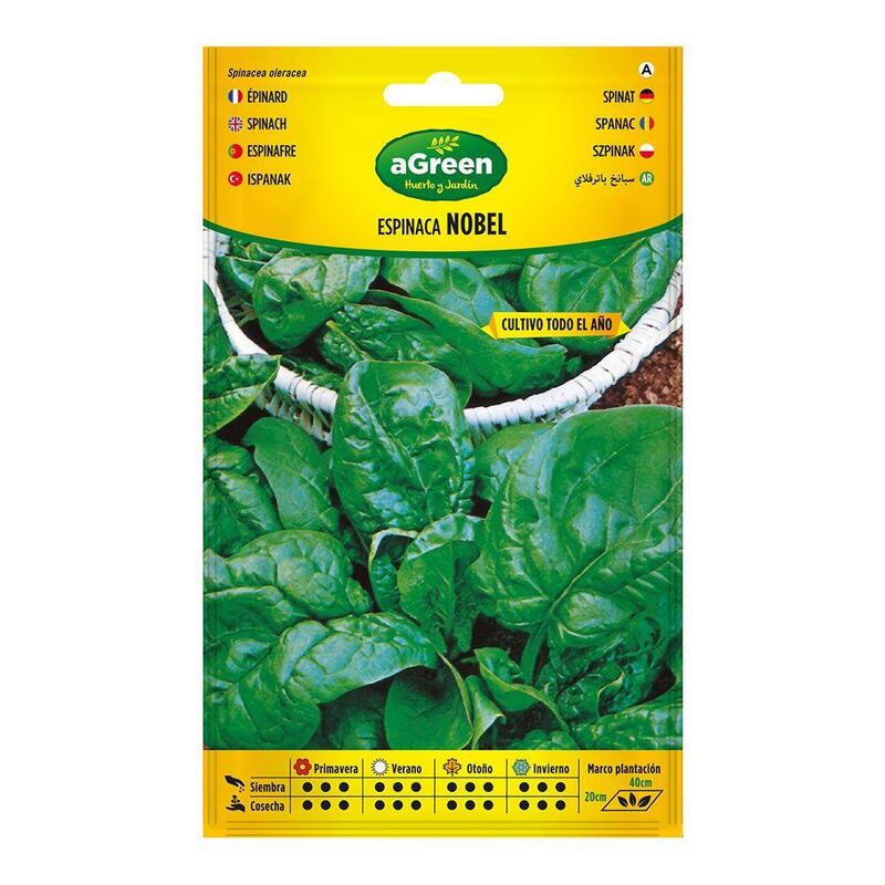 Pack De 10 Unidades - Sobre Con Semillas De Espinaca Nobel 000383bolsh Agreen