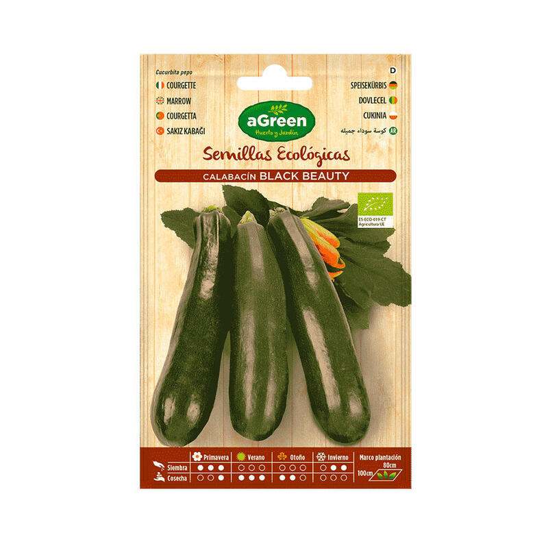 Pack De 10 Unidades - Sobre Con Semillas Eco De Calabacin Black Beauty Agreen