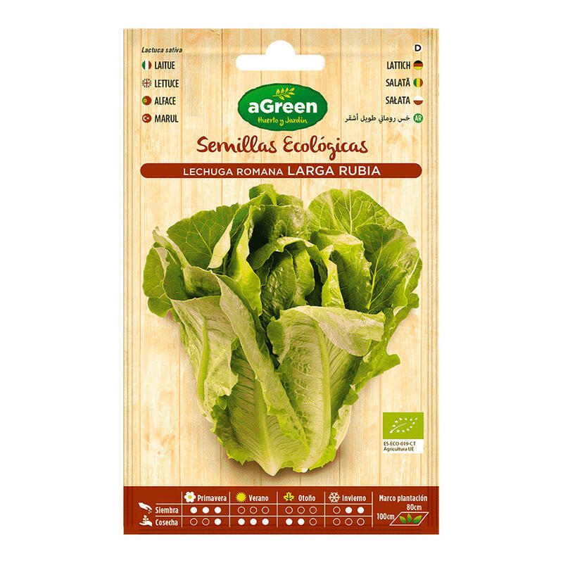 Pack De 10 Unidades - Sobre Con Semillas Eco De Lechuga Romana Larga Agreen